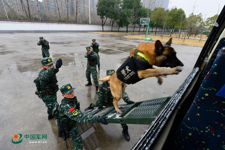 #热门小说推荐：大唐逍遥驸马爷 