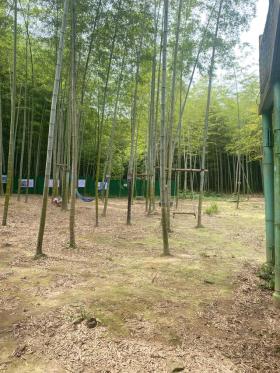 宜兴一日游，包括陶祖圣境，慕蠡洞，陶祖竹海以及宜兴博物馆等 